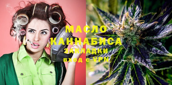 стафф Каменка