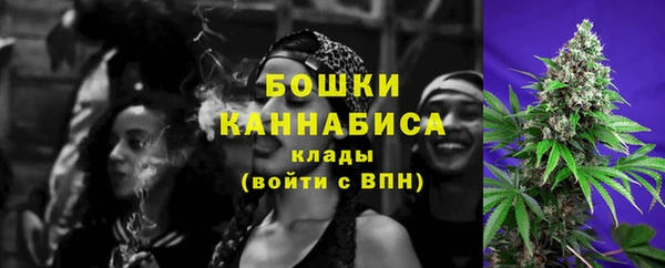 МДПВ Каменногорск