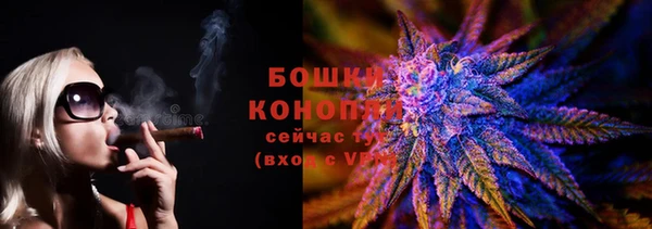 стафф Каменка