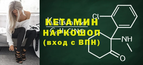 стафф Каменка
