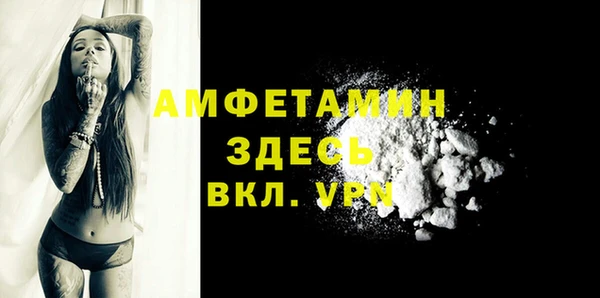 МДПВ Каменногорск