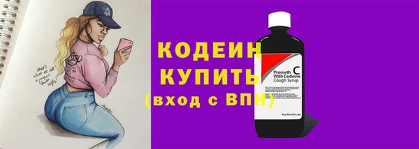 spice Карпинск