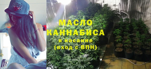 МДПВ Каменногорск