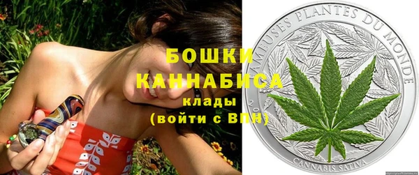 МДПВ Каменногорск