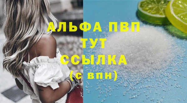 дживик Касимов
