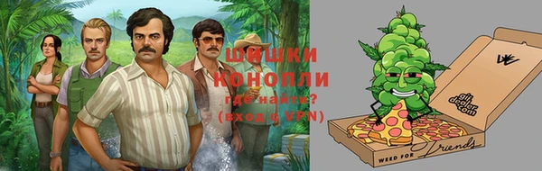 МДПВ Каменногорск